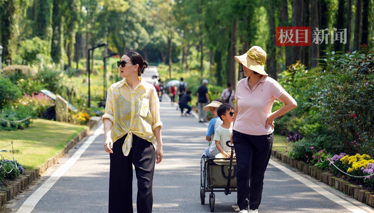 mg线路检测中心
